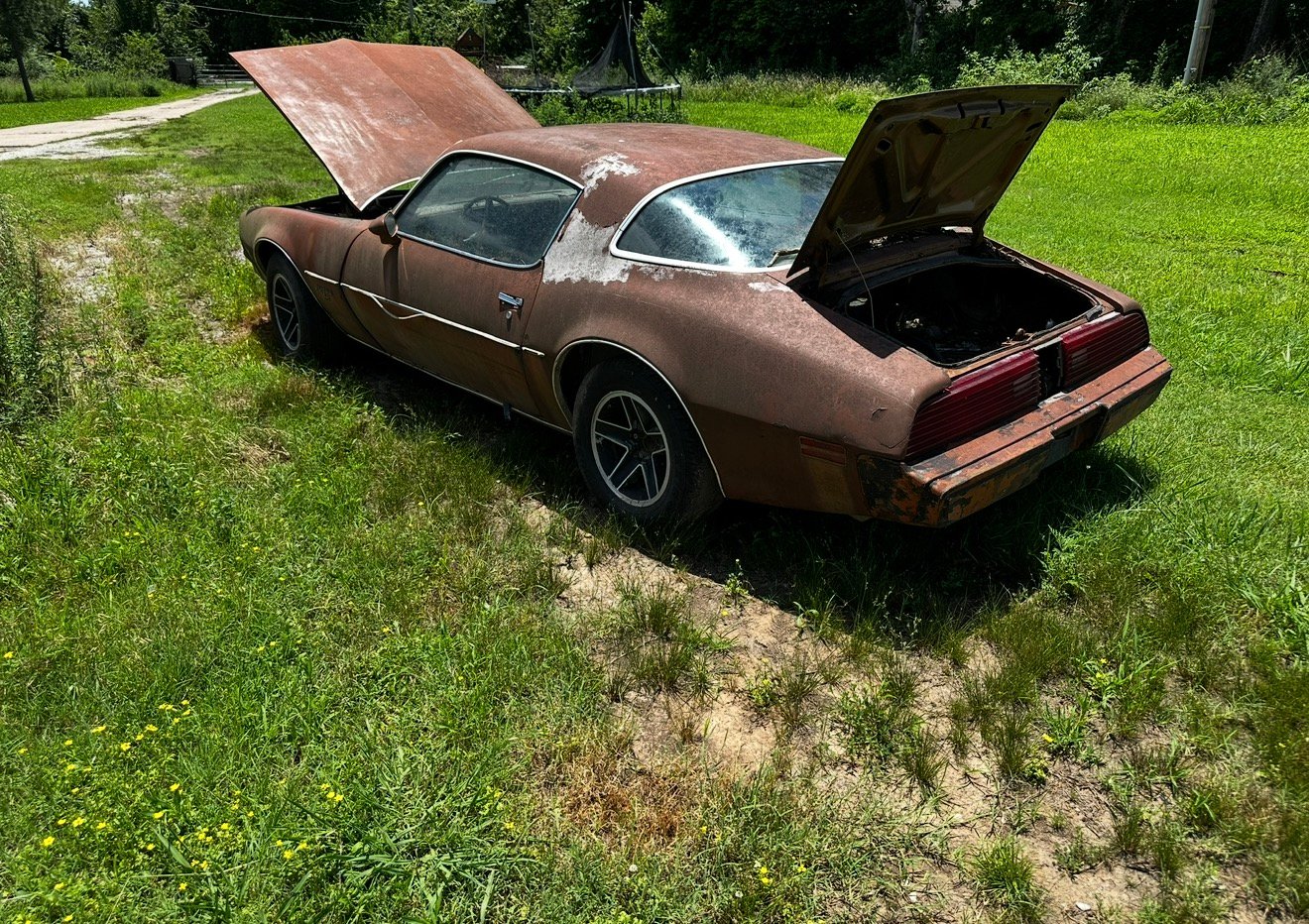 Older rusty Pontiac Firebird with hood and trunk open